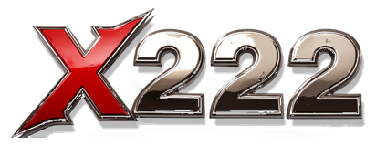 x222 game logo